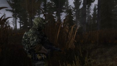 ������� � ������� ���