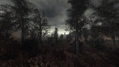 ������� ������� ����