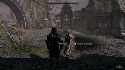 Skyrim ��������
