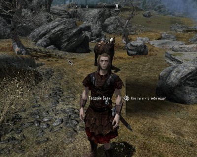 Skyrim � ������