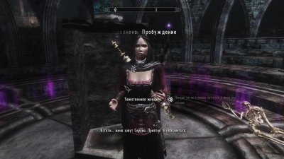 Skyrim Legendary Edition ��������