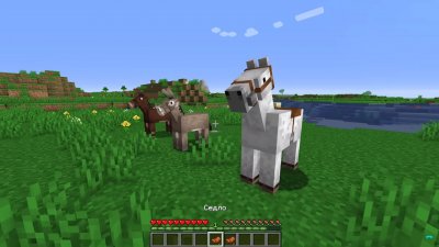 ��������� 1.19.30